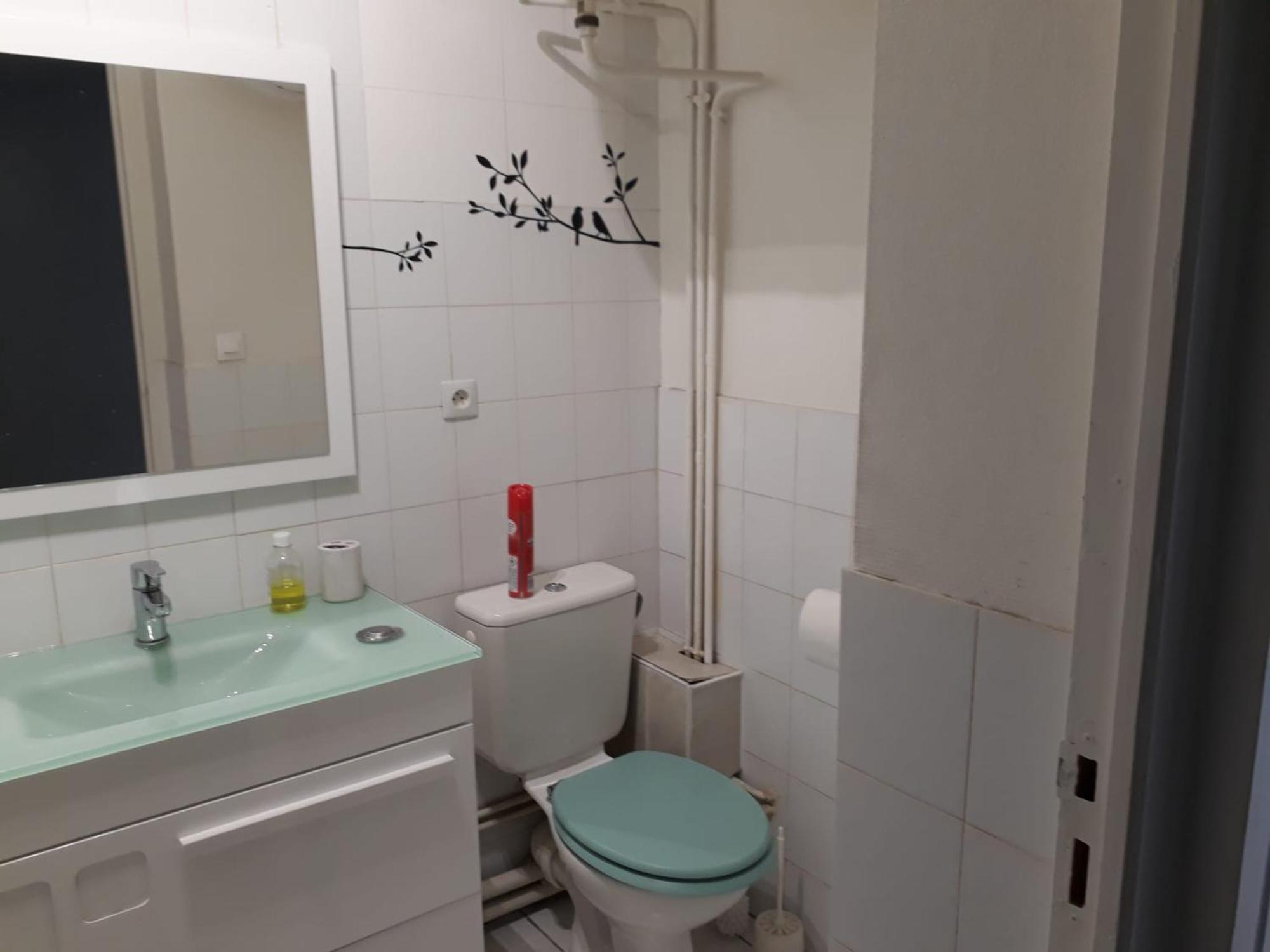Appartement Lyon 7 Gerland 外观 照片